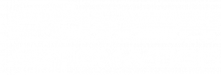 logo bianco power